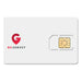 Multi-Network Smart SIM